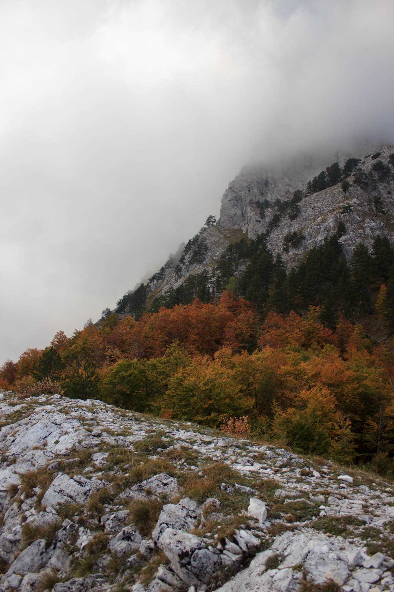 valbona