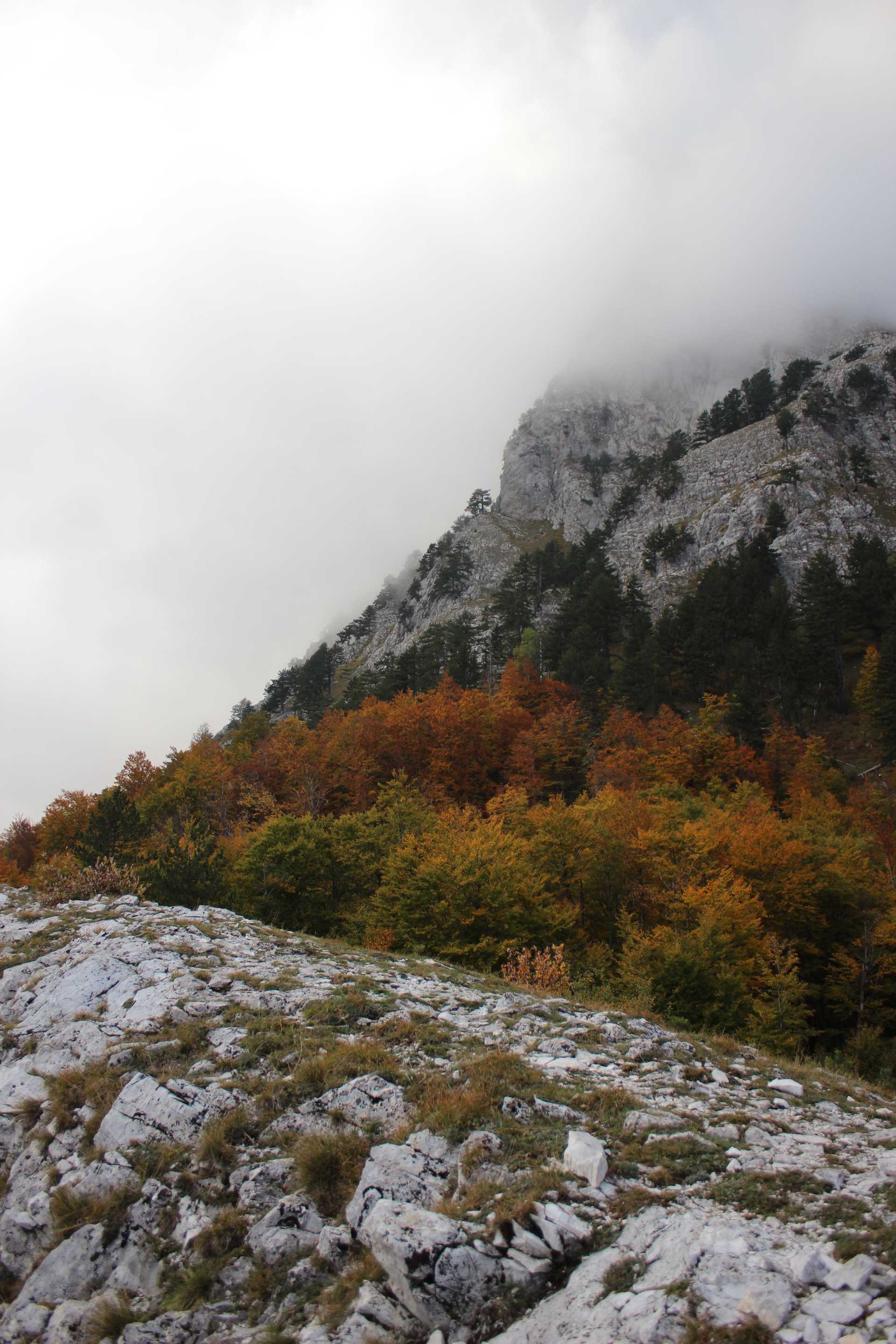 valbona